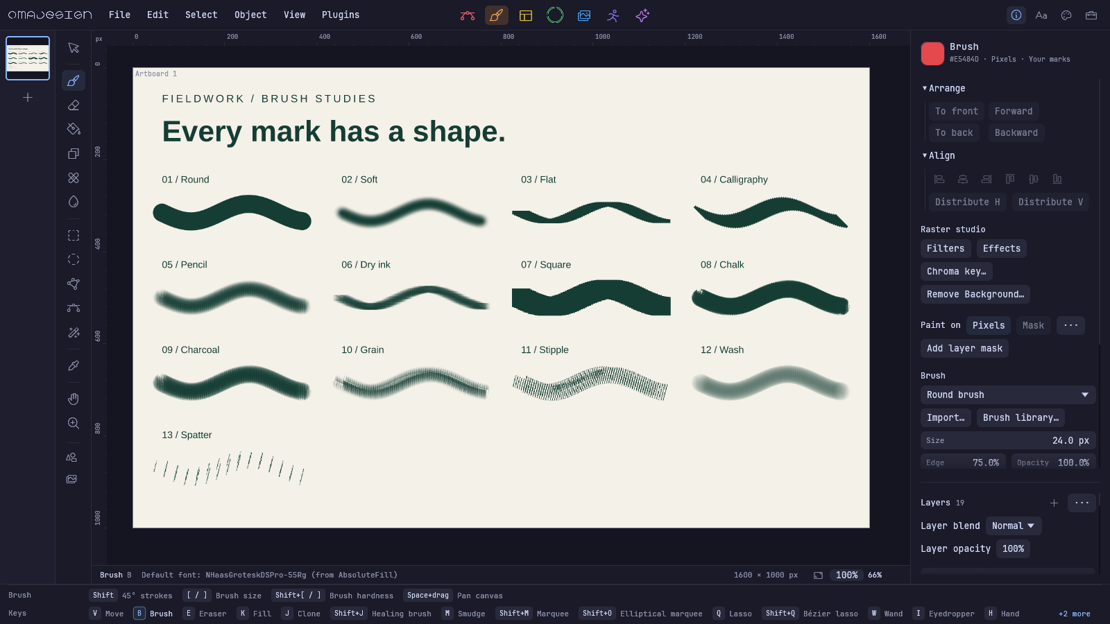 Native Pixel workspace with thirteen brush studies and shape-aware brush controls.